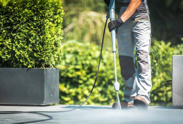 Best Fence Cleaning  in South San Jose Hills, CA